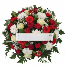 COUSSIN ROUGE