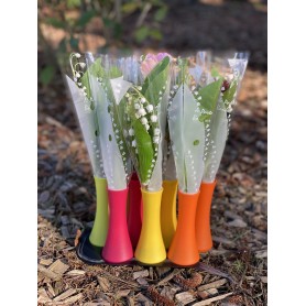 SOLINO 3 BRINS DE MUGUET