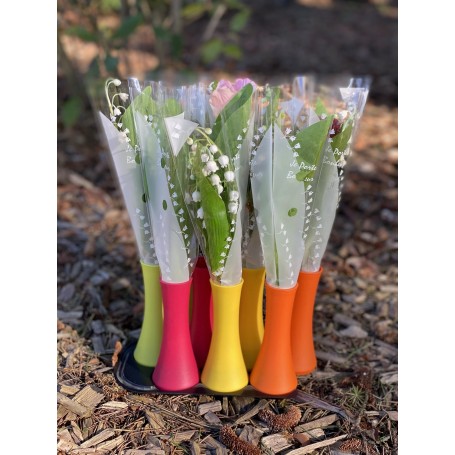 SOLINO 3 BRINS DE MUGUET