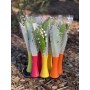 SOLINO 3 BRINS DE MUGUET