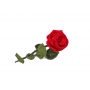 ROSE ETERNELLE