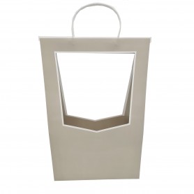 SAC EN CARTON