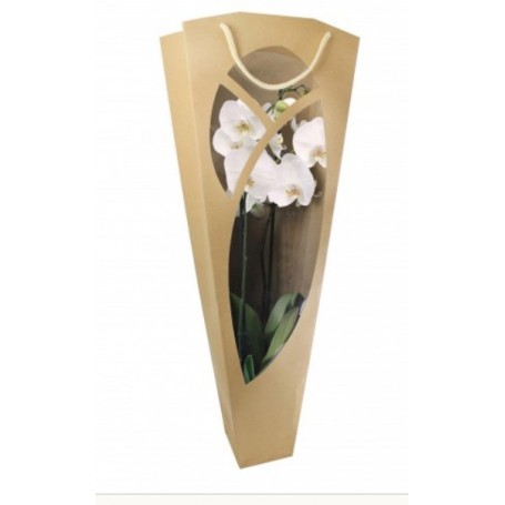 ORCHIDEE SAC KRAFT